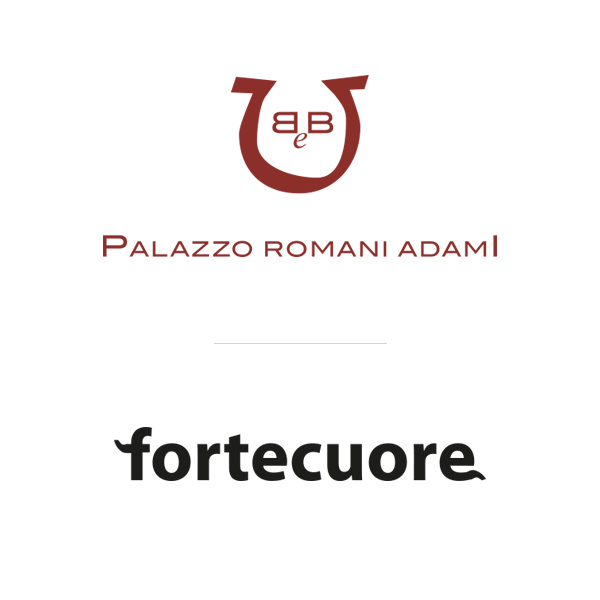 partners romaniadami - fortecuore